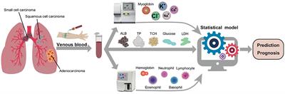 Novel nutritional indicator as predictors among subtypes of lung cancer in diagnosis
